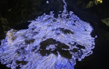 Kawah Ijen : le volcan indonésien au feu bleu électrique