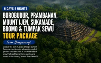 6 Days 5 Nights Java Overland Tour from Banyuwangi including Borobudur, Prambanan, Ijen, Sukamade, Bromo and Tumpak Sewu